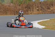 DSC_3455 copie